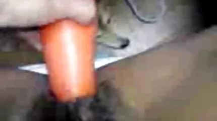 Софі Лі запідозрила підступ, коли вже смоктала член пррно відео свого брата.